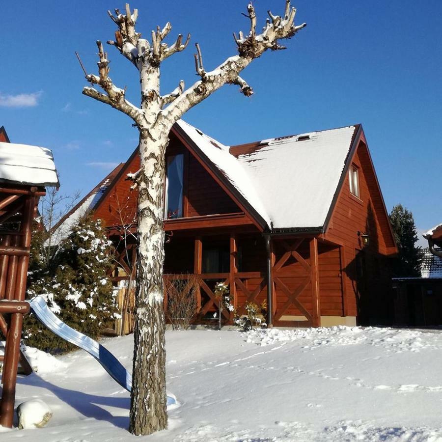 Domcek Pri Vode Villa Mlynceky Bagian luar foto